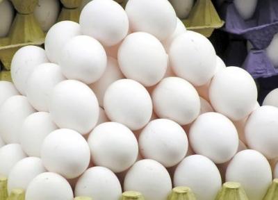 واردات 95 میلیون عدد تخم مرغ نطفه دار برای تامین احتیاج بازار