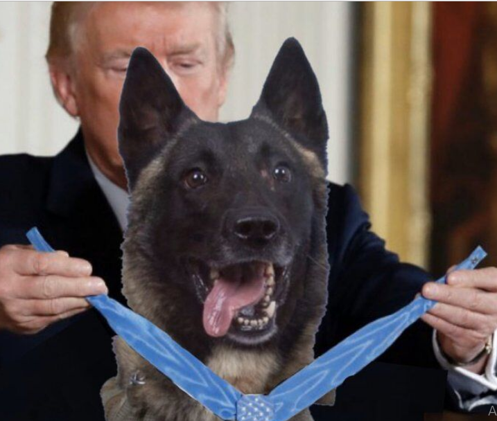 اهداء مدال فتوشاپی ترامپ به سگ عملیات البغدادی