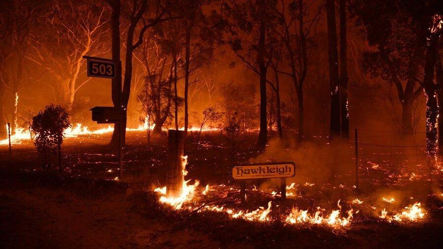 بحران اقلیمی آتش سوزی های جنگلی استرالیا را از کنترل خارج نموده است