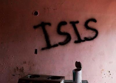روزنامه فرانسوی جزئیاتی تازه از تحرکات داعش را فاش کرد