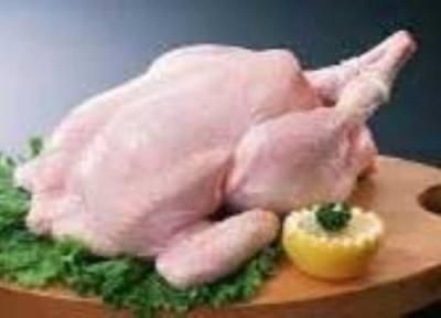 خطرات ناشی از خوردن مرغ نپخته