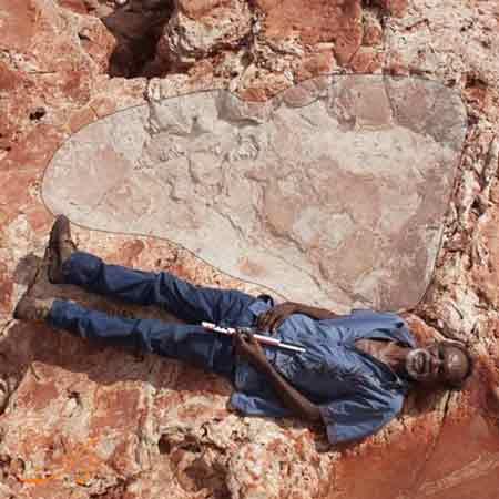بزرگترین رد پای دایناسور کشف شد!