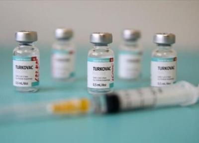 تور ترکیه ارزان: واکسن کرونای ترکیه مجوز استفاده اضطراری گرفت