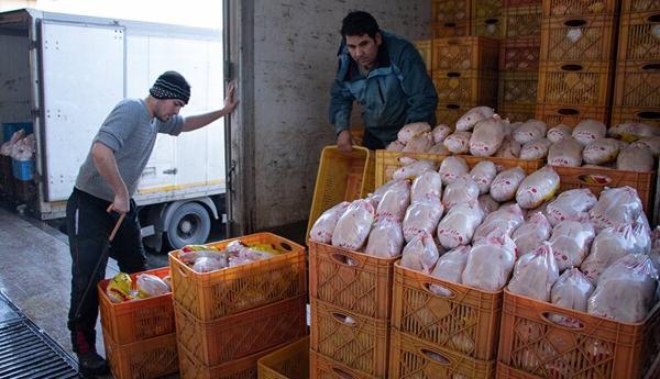 پشت پرده افزایش عجیب قیمت مرغ اعلام شد، یوسفی: مرغ 90 هزار تومانی نخرید