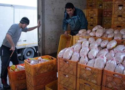 پشت پرده افزایش عجیب قیمت مرغ اعلام شد، یوسفی: مرغ 90 هزار تومانی نخرید