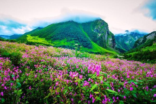 عکس هایی زیبا و رنگارنگ از بلغارستان